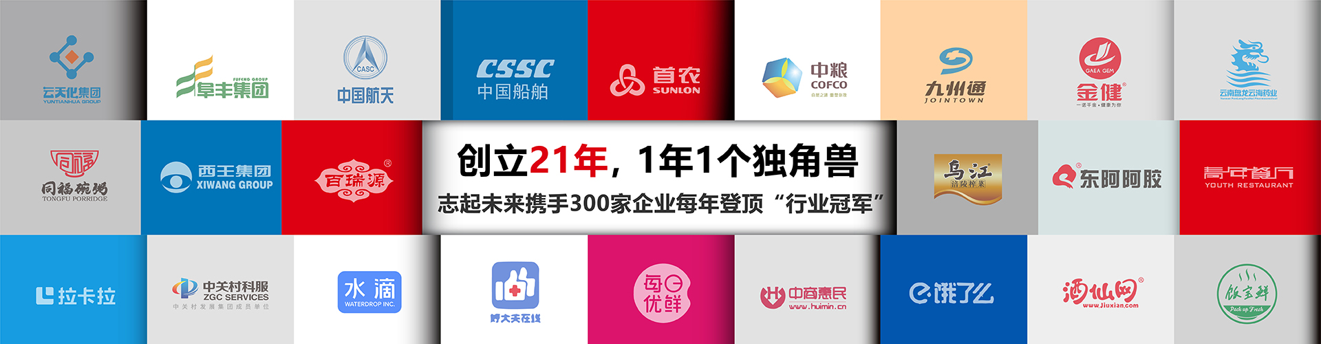 北京志起未来咨询集团（简称CBCT或志起未来），成立于2005年，总部位于北京，是一家创新品牌营销策划公司，入选中国十大策划公司，在公司战略品牌营销、战略定位、品牌策划、农产品区域公用品牌等已经服务15年，15年来致力于企业、产业及区域经济的发展研究，为企业和政府提供决策依据和资源支持。