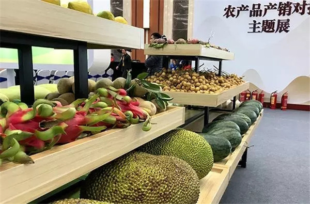 关注乡村全面振兴的几个问题