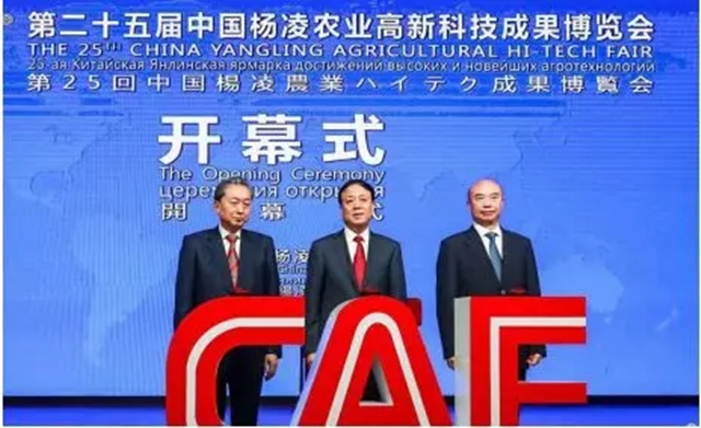 39f3d570-7acf-4486-8c53-4b05d77aa9ed.jpg